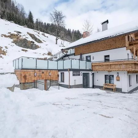 Lejlighed Kobelhaeusl Bei Hause - Dami Neukirchen am Großvenediger
